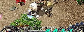 1.76�ͻ���,�������ѵĶ���ʬ��������